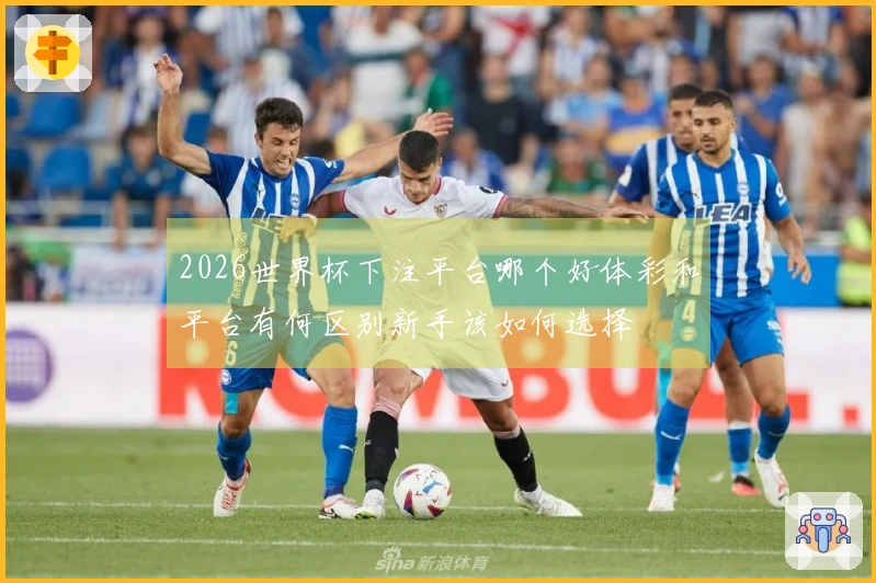 2026世界杯下注平台哪个好体彩和平台有何区别新手该如何选择