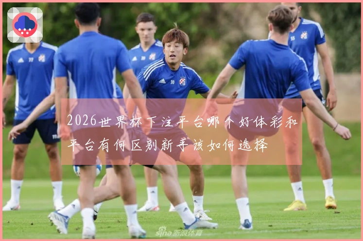 2026世界杯下注平台哪个好体彩和平台有何区别新手该如何选择