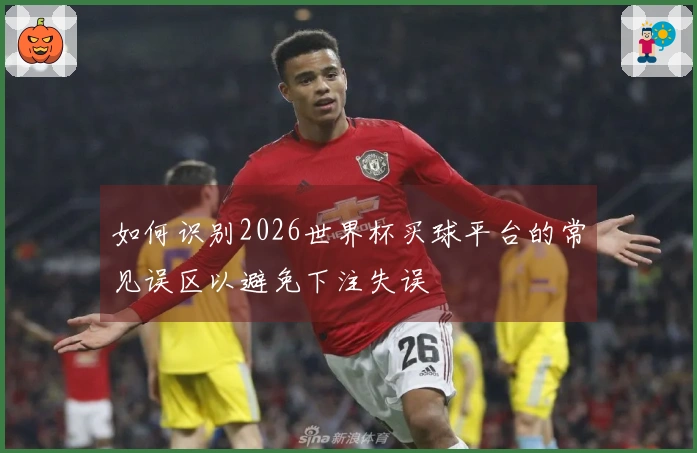 如何识别2026世界杯买球平台的常见误区以避免下注失误