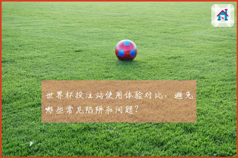 世界杯投注站使用体验对比，避免哪些常见陷阱和问题？