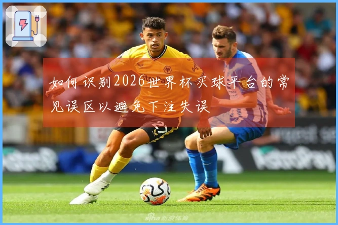 如何识别2026世界杯买球平台的常见误区以避免下注失误